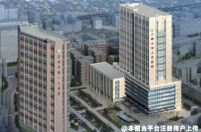 宜昌市第一人民医院整形烧伤外科