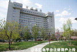 首都医科大学宣武医院整形外科