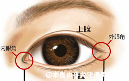 开外眼角和开内眼角 你适合选择哪一种