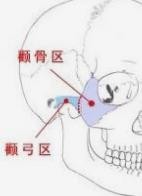 如何区分颧骨高还是颧弓宽 看完就知道了