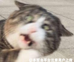 熊猫大鲜