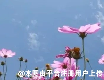 研究会