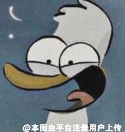 每天的笑点