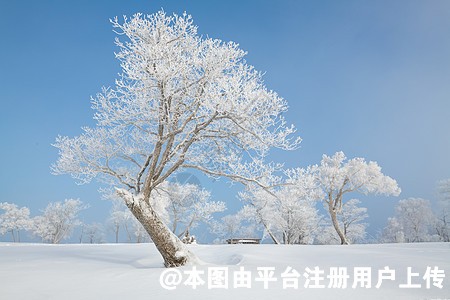 埋线提升 让你重回颜值巅峰